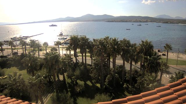 A panoramic view of a bay with palm trees