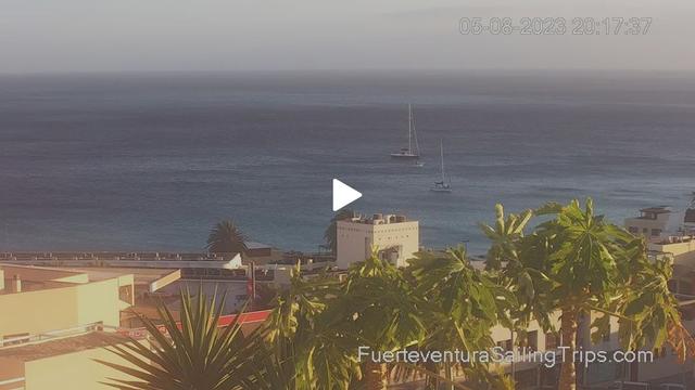 Fuerteventura sailing trips