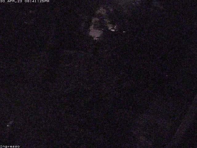 A blurry image of a cat in the dark