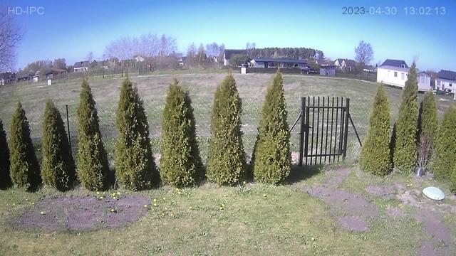 Группа деревьев в поле рядом с забором
