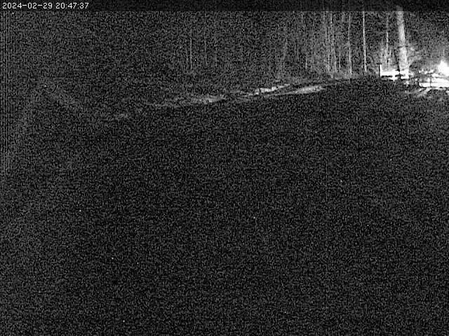 A webcam image of a house in the woods