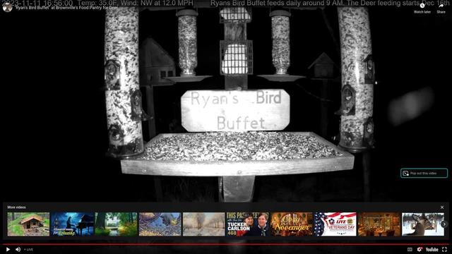Ryans bird buffet