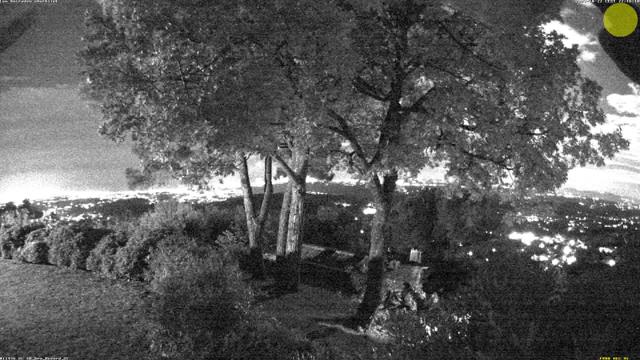 Черно-белое фото деревьев и воды