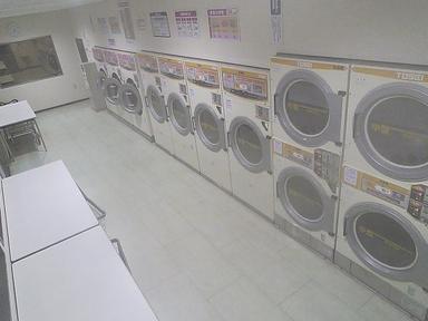 A row of washers and dryers in a laundry room