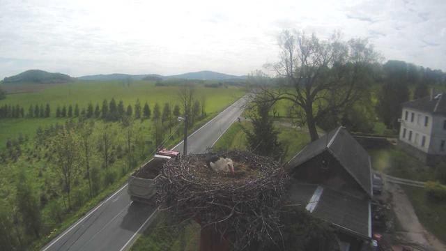 A bird's eye view of a farm with a bird's nest