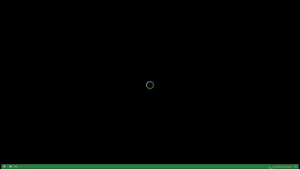 Черный экран с зеленой точкой
