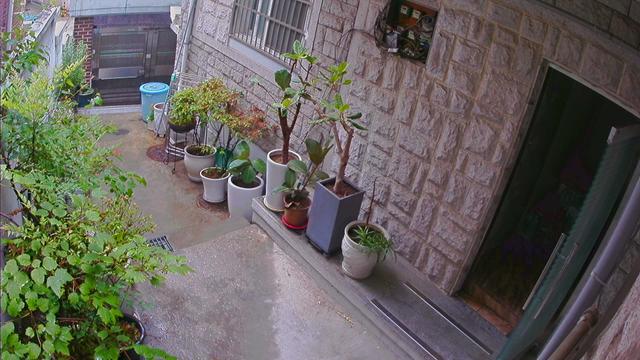 There are many potted plants on the outside of the house