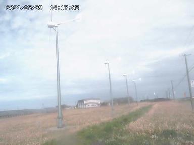A blurry photo of a street light and wind mills