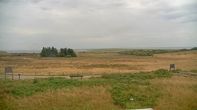 A large open field with a road and trees in the distance