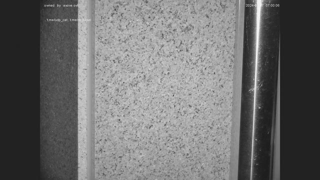 A black and white photo of a bathroom wall