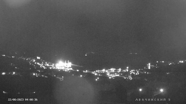 Черно-белое фото ночного города