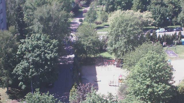 An aerial view of a park with trees and benches