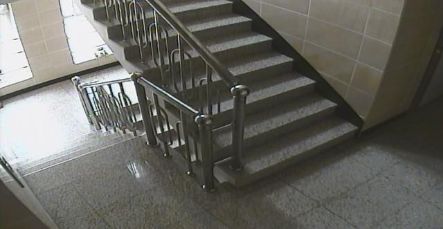 A set of stairs leading up to a hallway
