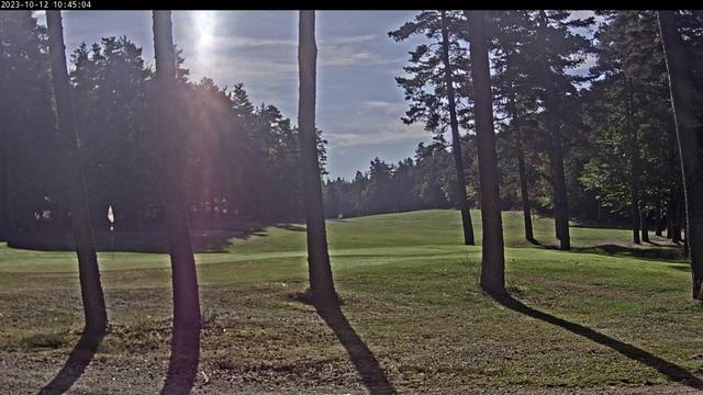 На фото поле для гольфа в лесу.