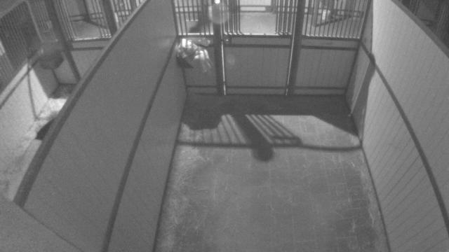 A black and white photo of a dog in a cage