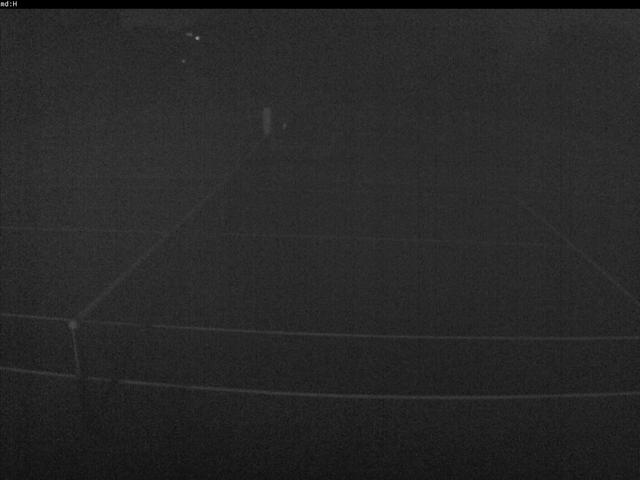 Мужчина стоит на теннисном корте с ракеткой