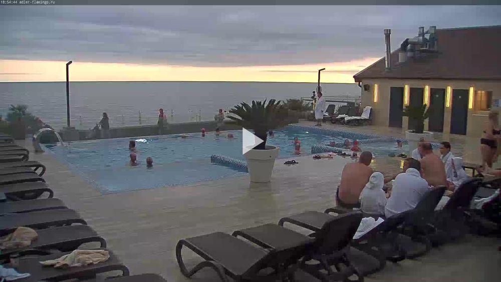 Веб-камера у бассейна отеля «Фламинго».