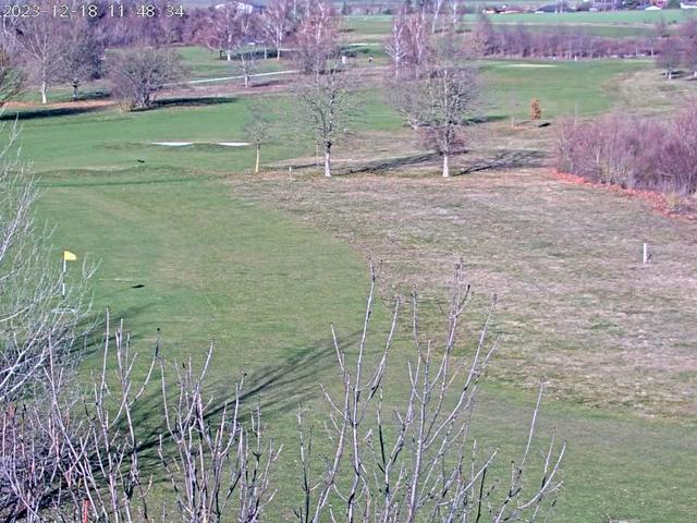 Черно-белое фото поля с деревьями