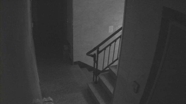 A black and white photo of stairs and a door