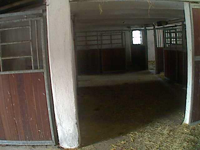 A barn with a horse inside of it