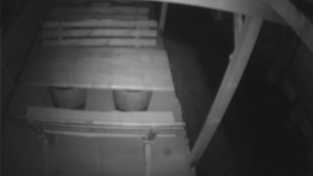A black and white photo of three cups in a drawer