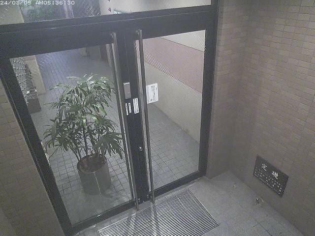 A door leading to a bathroom with a potted plant