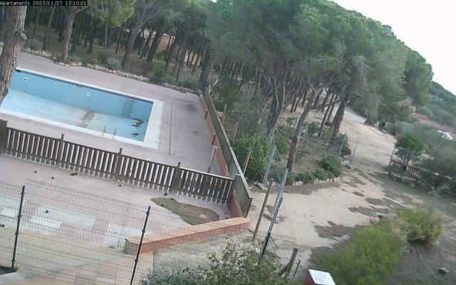 An aerial view of a swimming pool and a fence