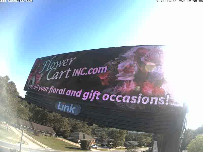 Большая реклама цветочного магазина на обочине дороги