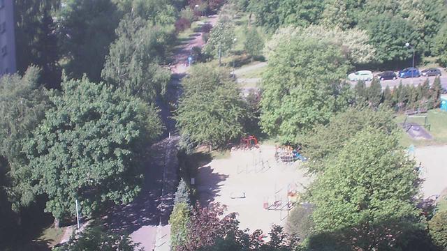 Вид с воздуха на парк с деревьями и скамейками