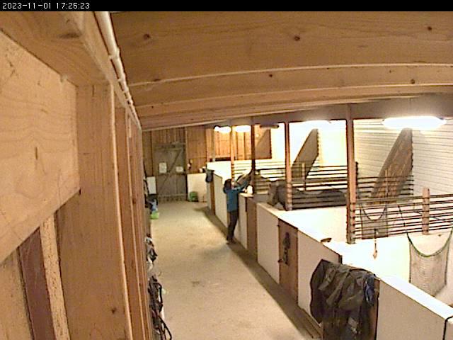 A webcam image of a person walking down a hallway